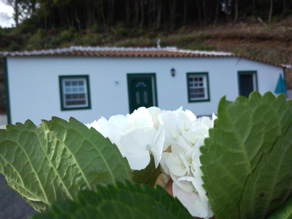 Casa dos Valentes room 1
